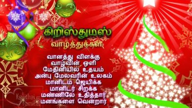 Happy Christmas wishes 2024 in Tamil